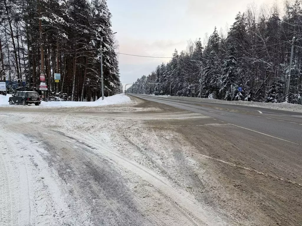 Участок в Владимирская область, Александровский муниципальный округ, ... - Фото 2