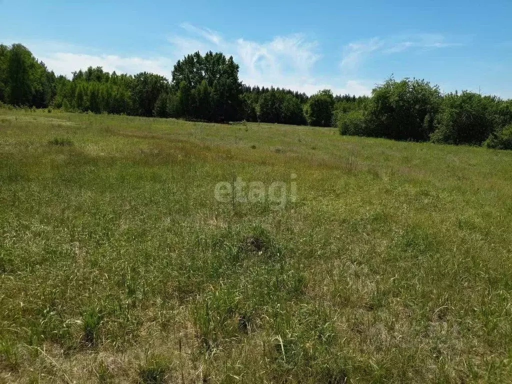 Участок в Липецкая область, Хлевенский район, с. Введенка ул. Лесная, ... - Фото 1