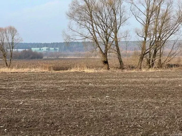 Участок в Московская область, Кашира городской округ, пос. Большое ... - Фото 1