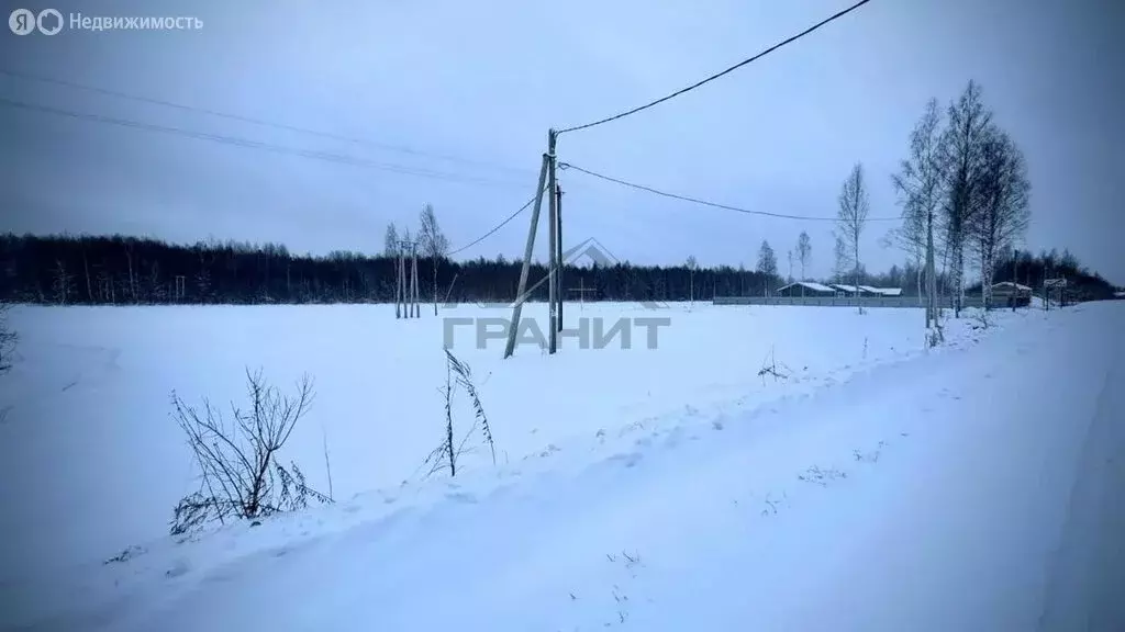 Участок в Новгородская область, Маловишерское городское поселение, ... - Фото 2