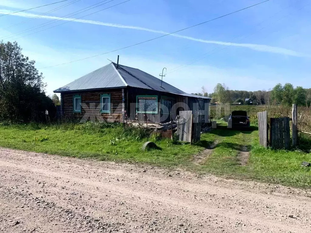 Дом в Новосибирская область, Колыванский район, д. Южино Школьная ул. ... - Фото 2