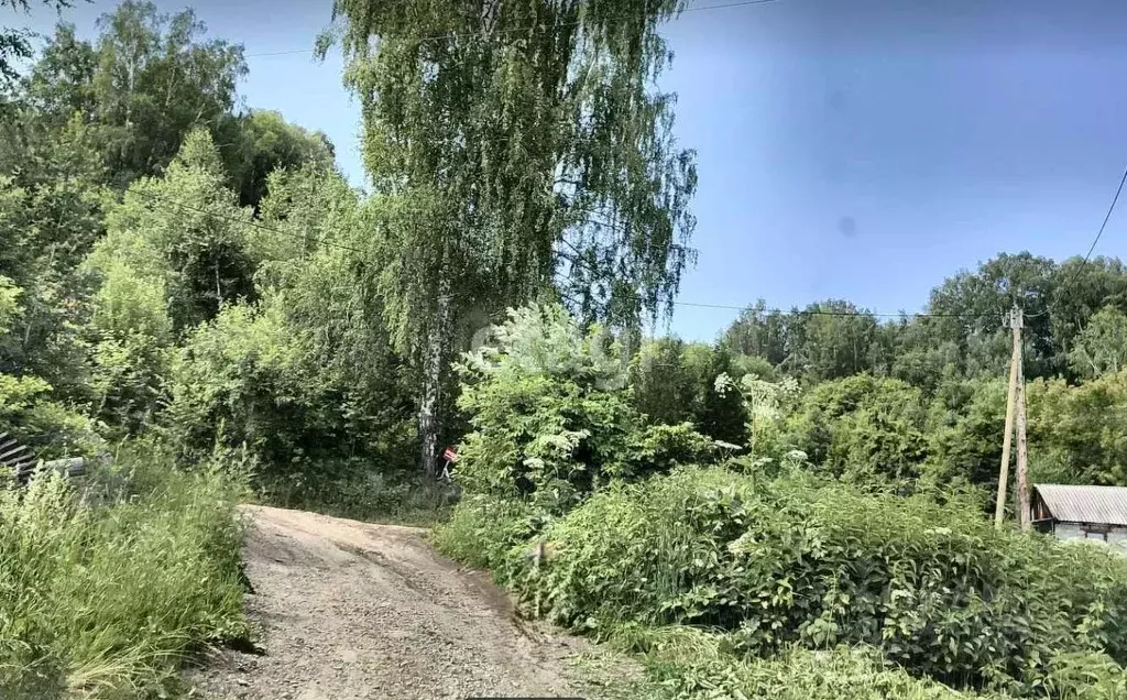 Дом в Алтай, Горно-Алтайск Березовая роща садоводческое товарищество,  ... - Фото 0