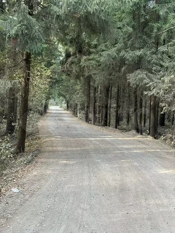 Участок 6 сот. (СНТ, ДНП) - Фото 0