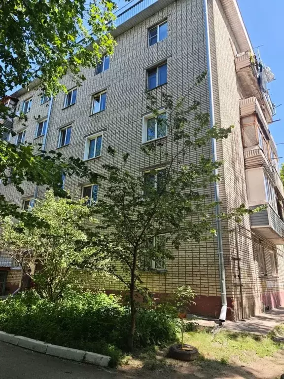 1-к кв. Алтайский край, Барнаул ул. Антона Петрова, 215 (39.8 м) - Фото 2