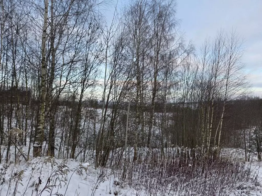 Участок в Московская область, Сергиево-Посадский городской округ, д. ... - Фото 2