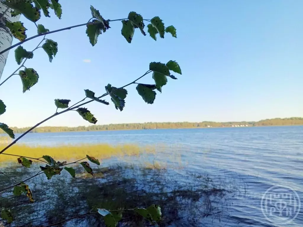 Участок в Ленинградская область, Выборгский район, Красносельское ... - Фото 1