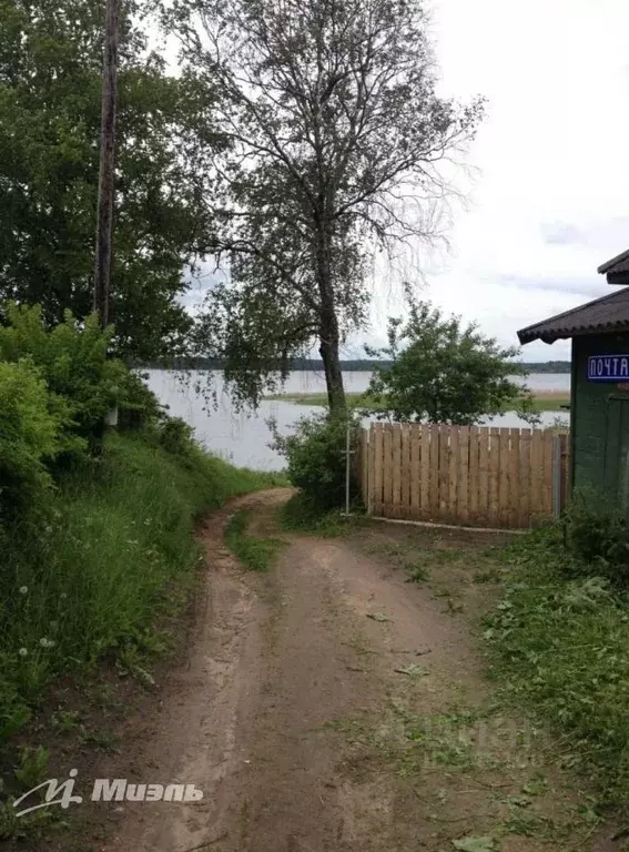 Участок в Тверская область, Осташковский городской округ, д. Задубье ... - Фото 0