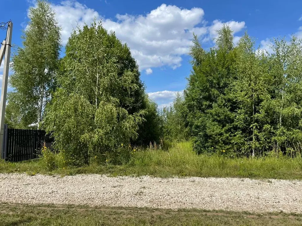 Участок в Тульская область, Ясногорский район, Иваньковское с/пос, с. ... - Фото 2