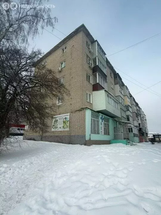 1-комнатная квартира: Ефремов, Комсомольская улица, 58 (31.3 м) - Фото 2