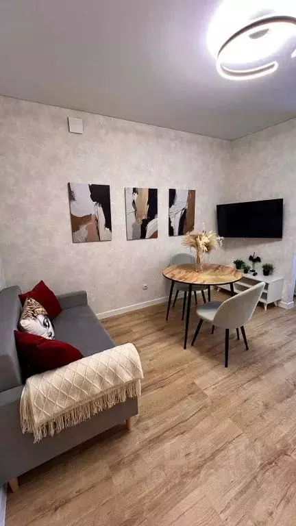 Студия Тюменская область, Тюмень Новгородская ул., 22 (33.0 м) - Фото 2