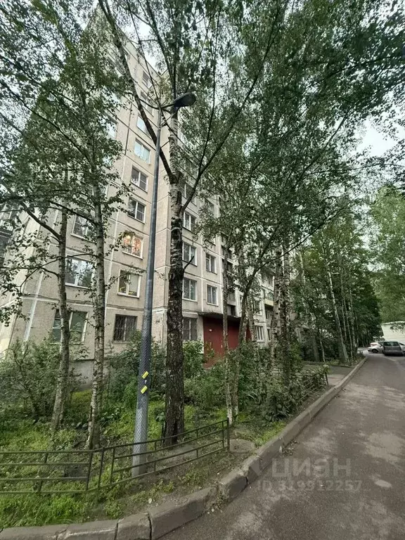 1-к кв. Санкт-Петербург Искровский просп., 29 (31.5 м) - Фото 0