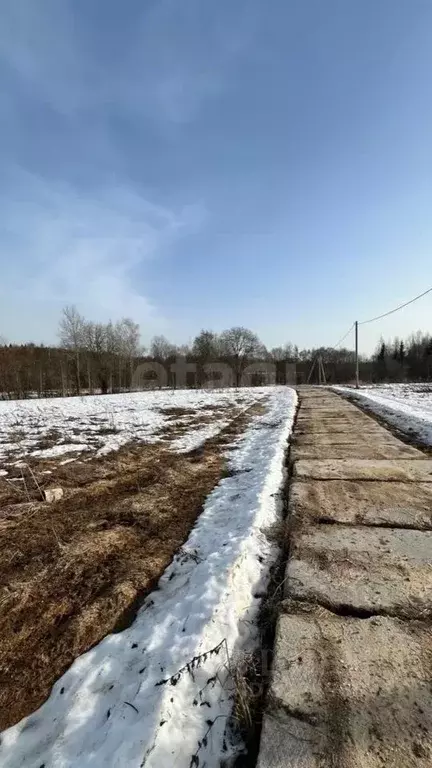 Участок в Вологодская область, д. Мальгино (Подлесный сельсовет)  ... - Фото 2