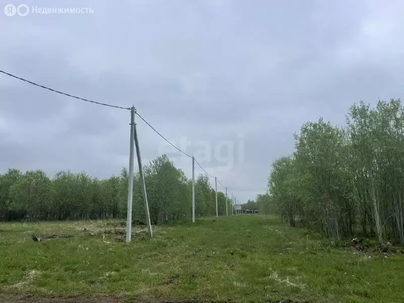 Участок в Романовское сельское поселение, территория участков Аэродром ... - Фото 2