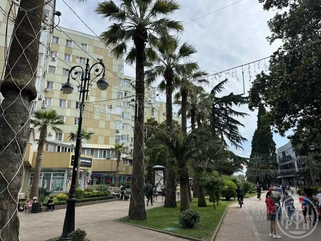 Помещение свободного назначения в Краснодарский край, Сочи Центральный ... - Фото 1