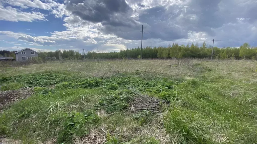 Участок в Московская область, Клин городской округ, д. Ширяево  (15.51 ... - Фото 1