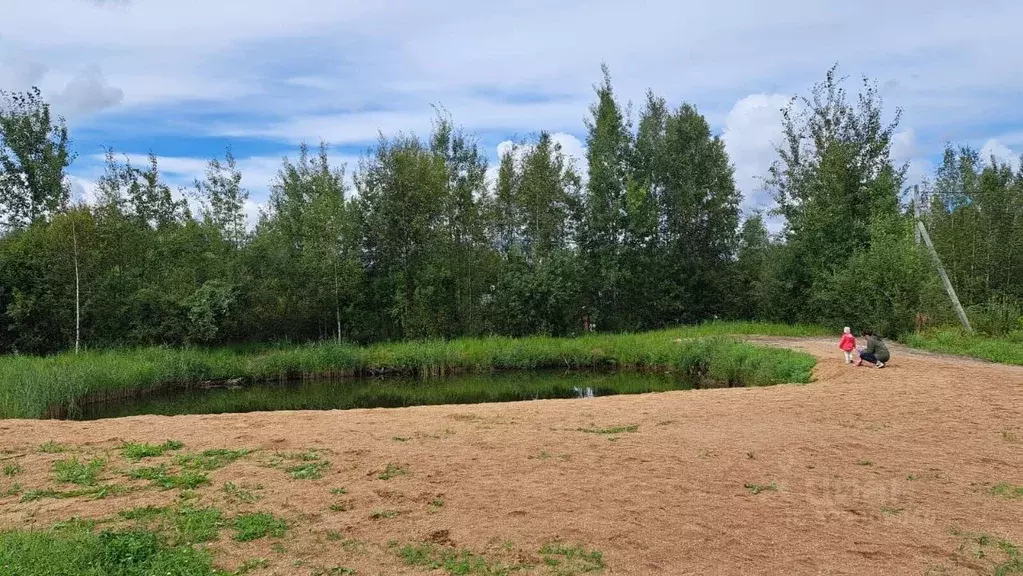 Участок в Ленинградская область, Всеволожское городское поселение, ... - Фото 1