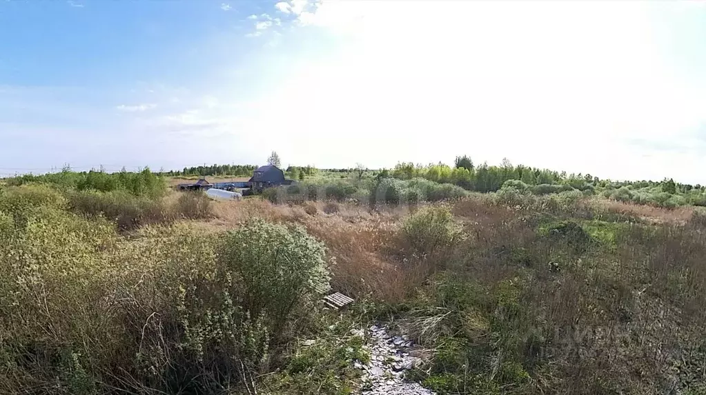 Участок в Тюменская область, Тюмень Поле Чудес садовое товарищество, ... - Фото 0