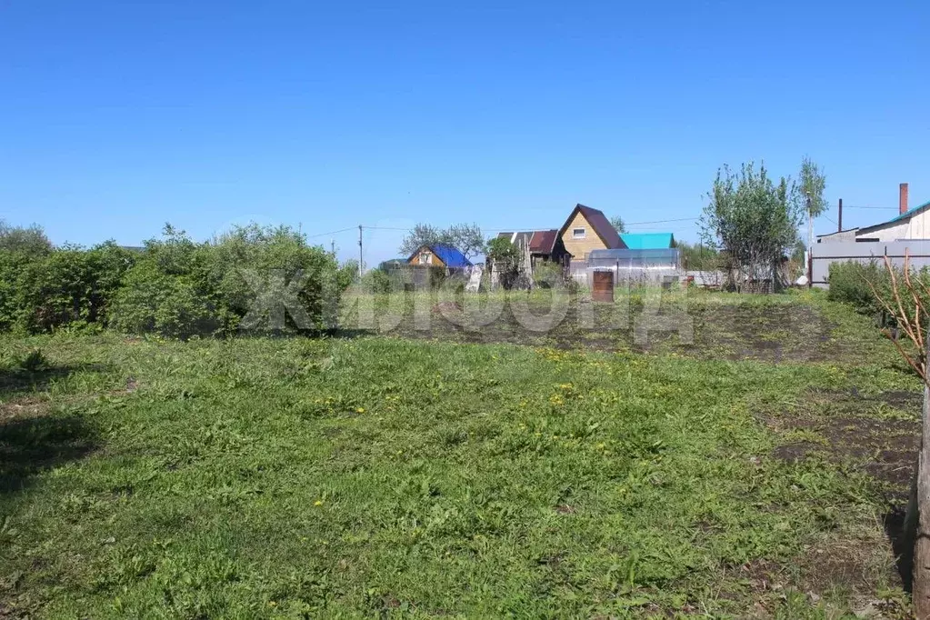 Участок 6,1 сот. (СНТ, ДНП) - Фото 0