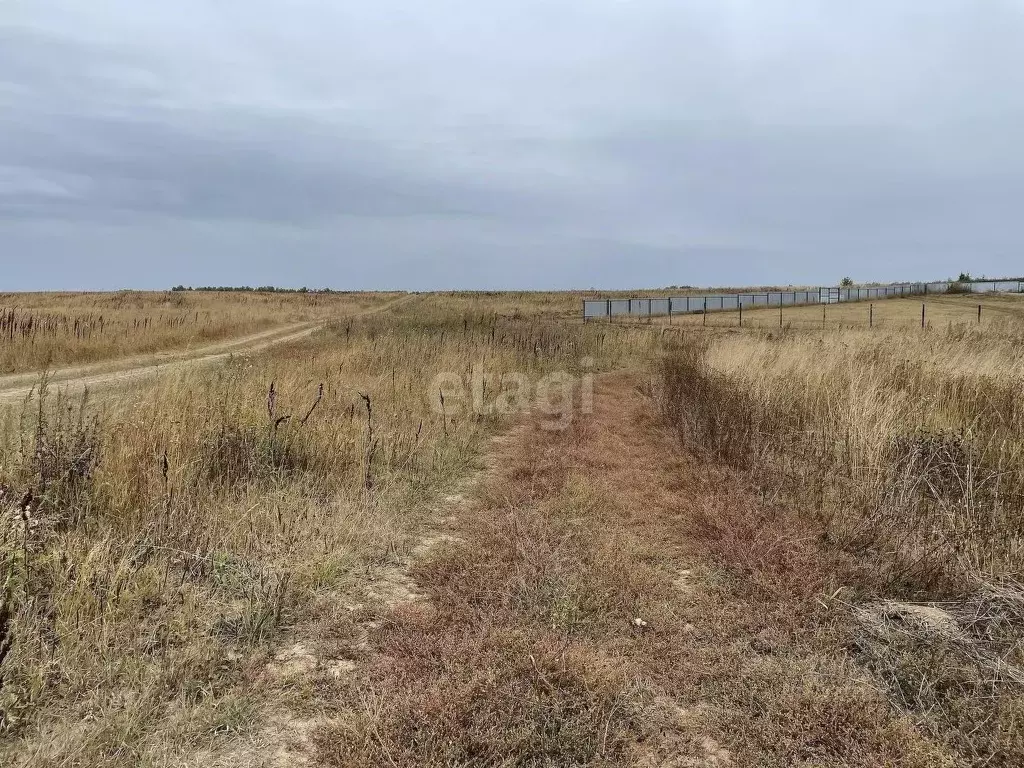 Участок в Московская область, Коломна городской округ, д. Верхнее ... - Фото 1