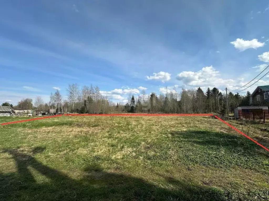Участок в Ленинградская область, Волховский район, Селивановское ... - Фото 1