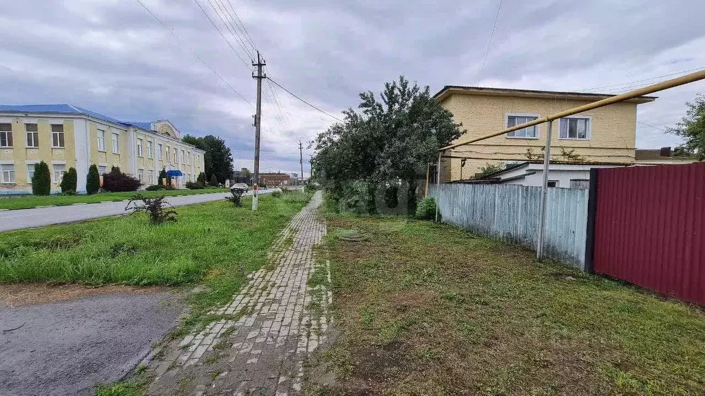 Участок в Белгородская область, Волоконовка рп ул. Первогвардейская, ... - Фото 1