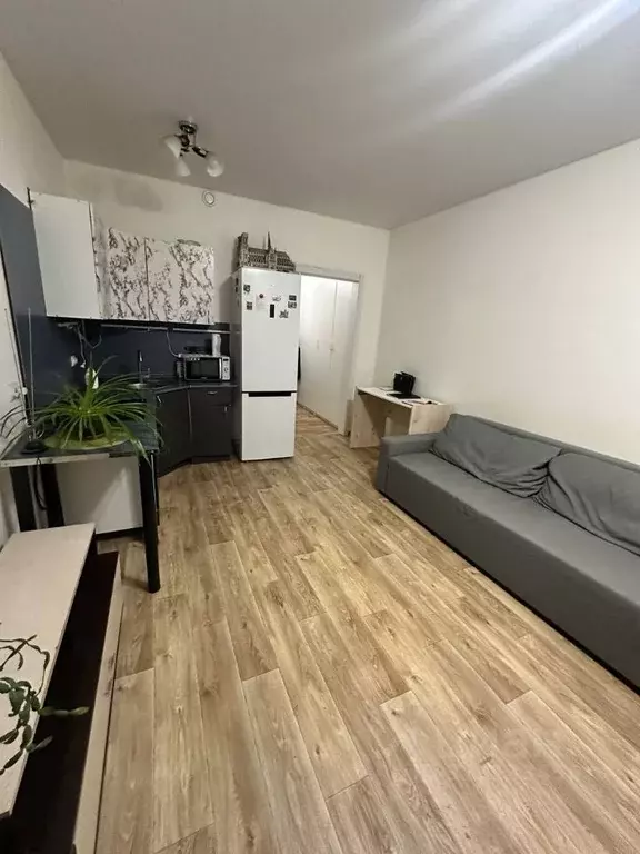 Студия Ленинградская область, Мурино Всеволожский район, аллея ... - Фото 1