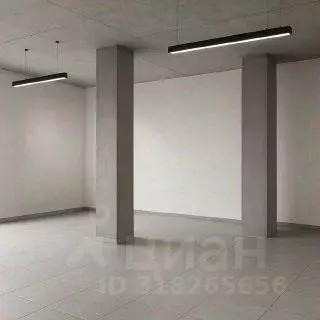 Помещение свободного назначения в Курская область, Курск ул. Энгельса, ... - Фото 2