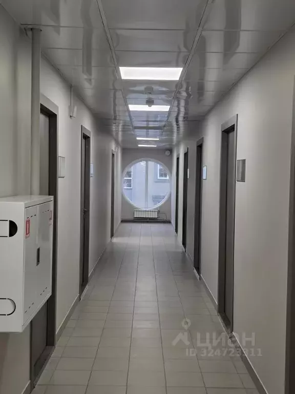 Офис в Новосибирская область, Новосибирск просп. Димитрова, 1/1 (24 м) - Фото 2