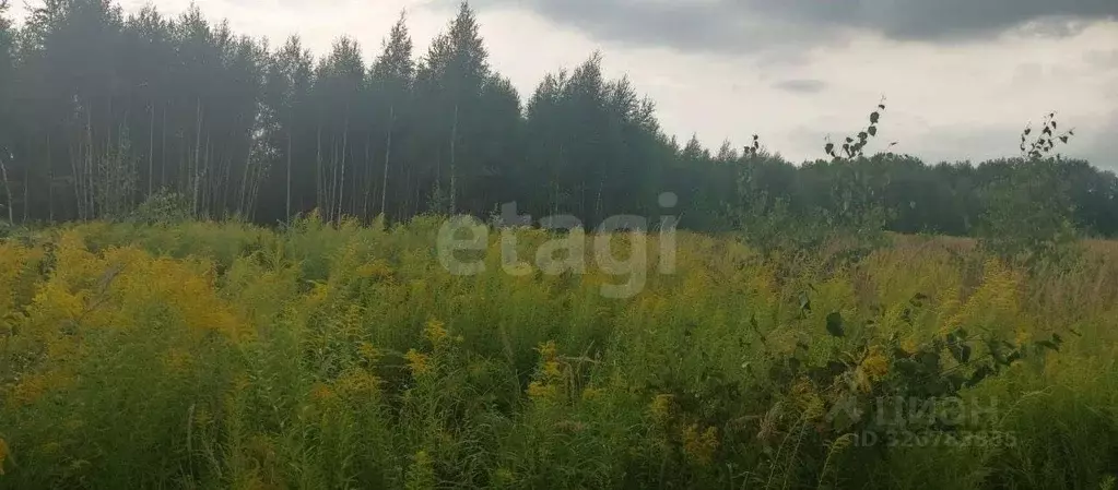 Участок в Нижегородская область, Кстовский муниципальный округ  (500.0 ... - Фото 1