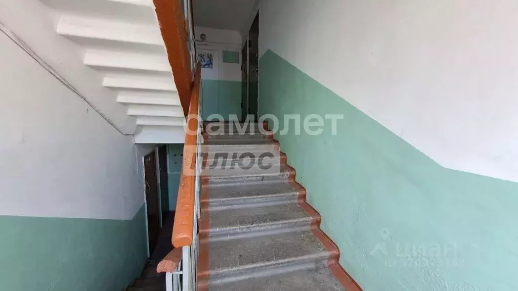 1-к кв. Алтайский край, Бийск ул. Петра Мерлина, 13 (30.8 м) - Фото 1