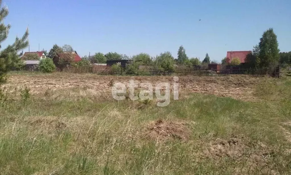 Участок в Тюменская область, Тюменский муниципальный округ, Горошинка ... - Фото 1