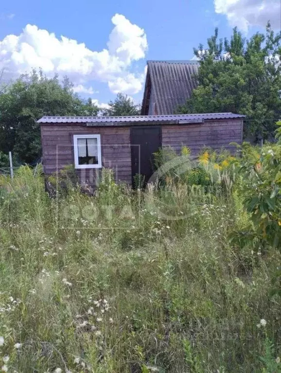 Дом в Воронежская область, Воронеж Радуга СНТ, ул. Коллективная (25 м) - Фото 1