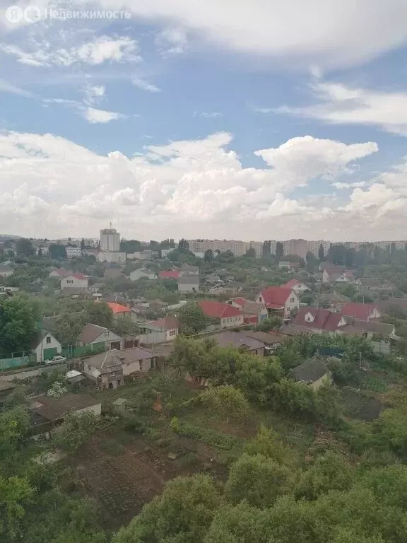 1-комнатная квартира: Старый Оскол, микрорайон Южный, 5 (44 м) - Фото 2