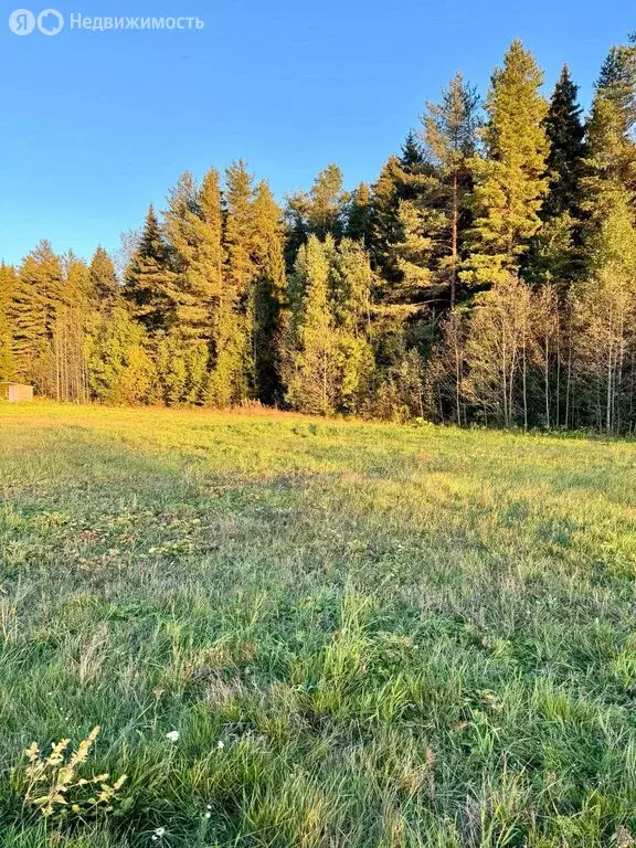 Участок в Кирово-Чепецкий район, село Кстинино (20 м) - Фото 2