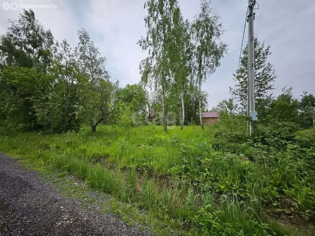 Участок в Московская область, Раменский муниципальный округ, ДНП ... - Фото 1