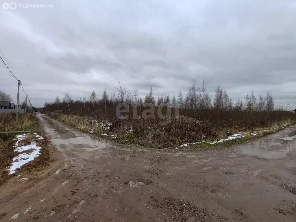 Участок в Московская область, городской округ Воскресенск, село ... - Фото 0