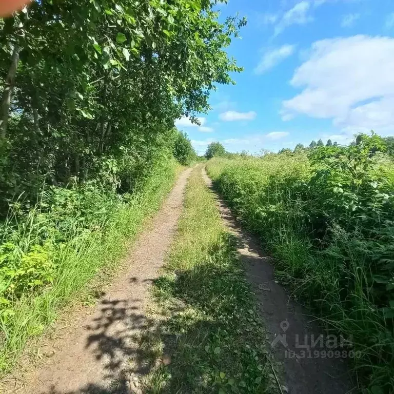 Участок в Архангельская область, Архангельск ул. Боры, 708 (10.0 сот.) - Фото 0