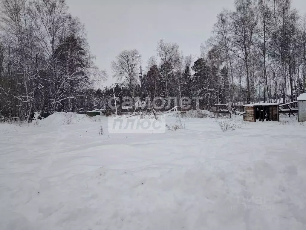 Участок в Тюменская область, Тюменский муниципальный округ, с. ... - Фото 1