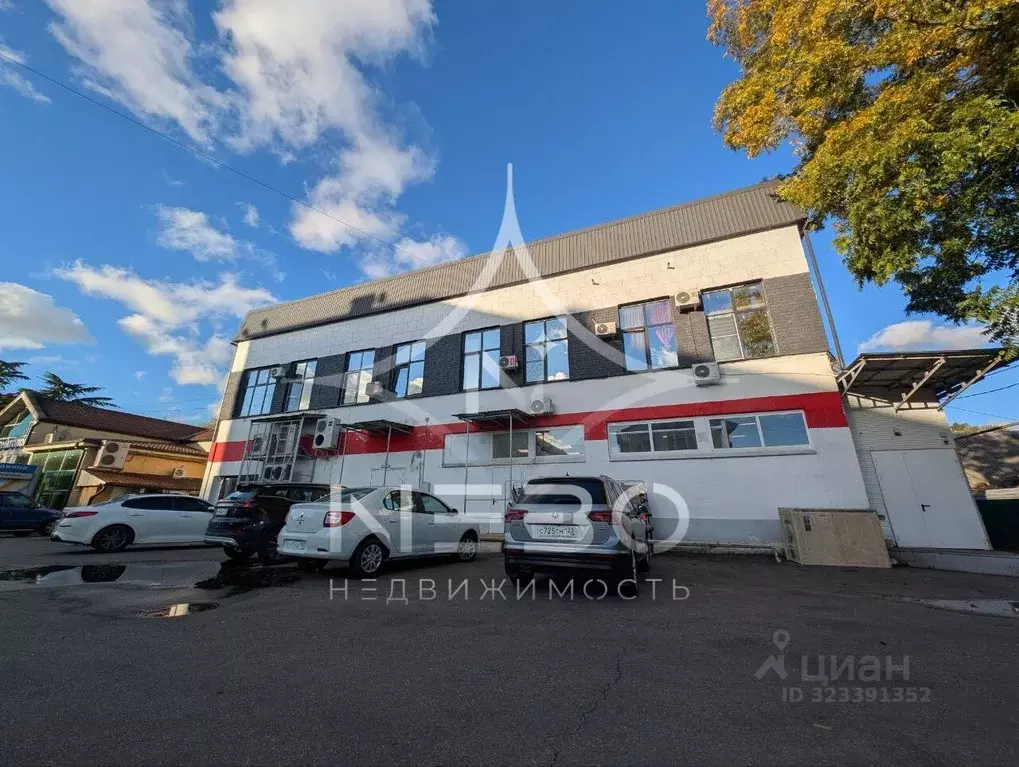 Помещение свободного назначения в Краснодарский край, Сочи городской ... - Фото 1
