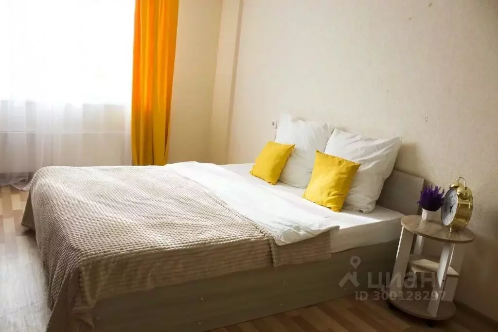 1-к кв. Нижегородская область, Нижний Новгород Мещерское Озеро ... - Фото 2