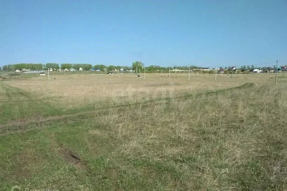 Участок в Алтайский край, Барнаул городской округ, пос. Центральный ... - Фото 2