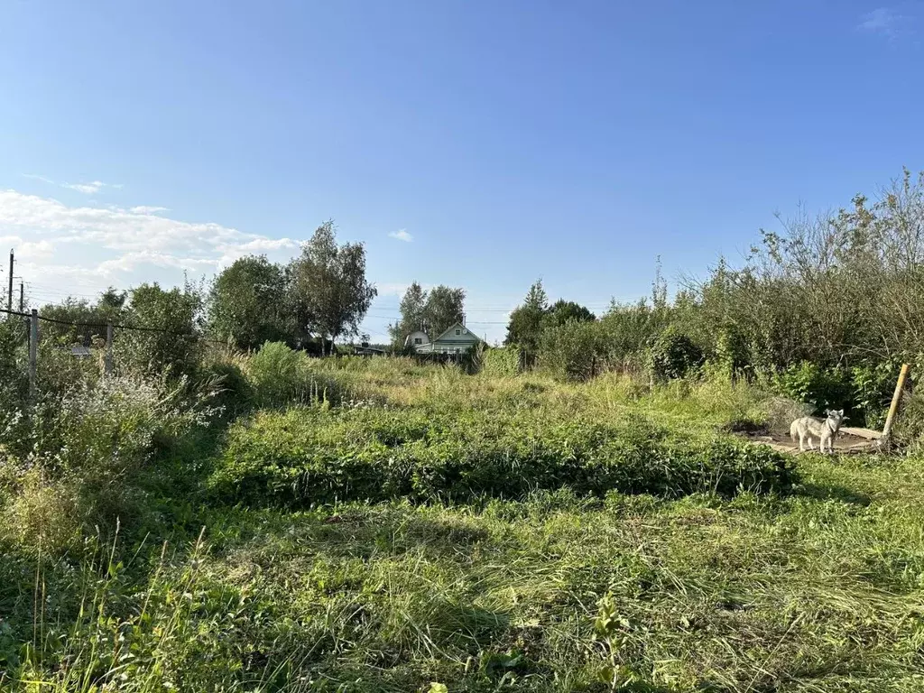 Участок в Московская область, Воскресенск городской округ, д. ... - Фото 2