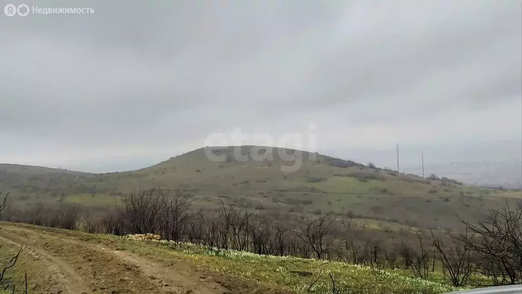 Участок в Республика Крым, муниципальный округ Феодосия, село ... - Фото 2