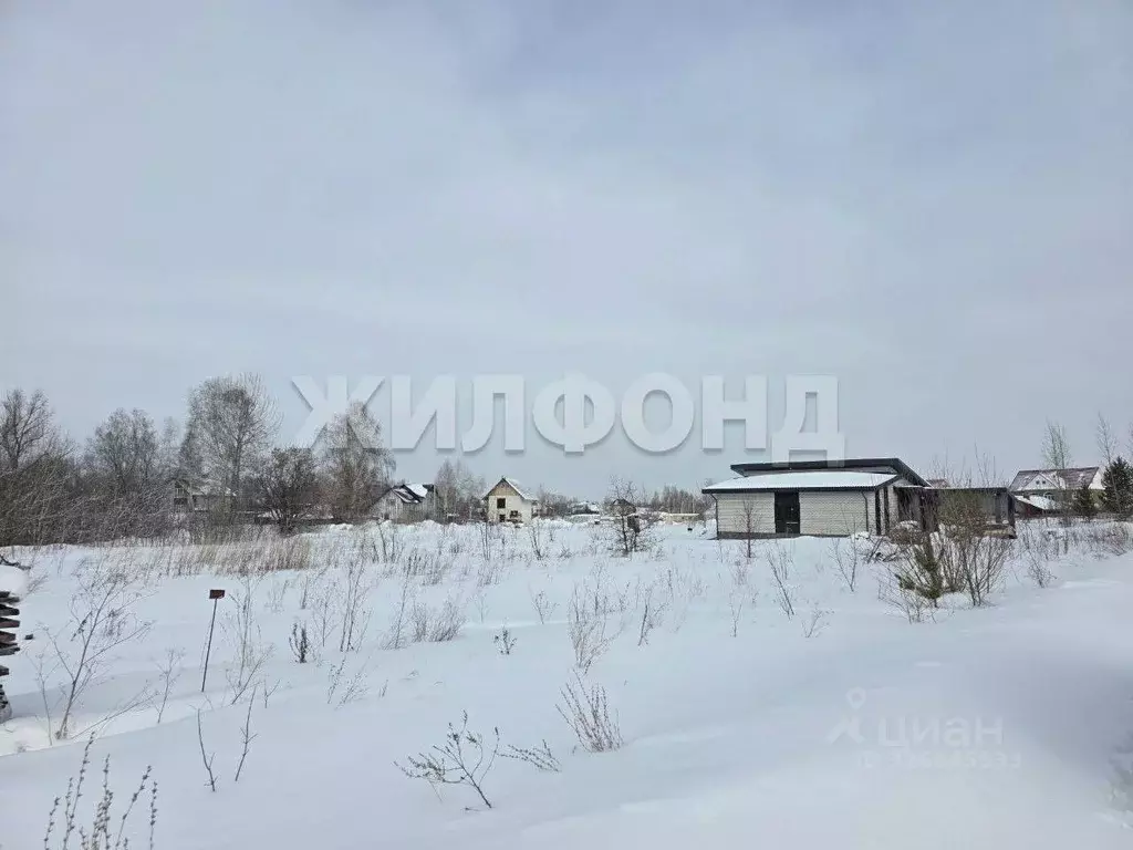 Участок в Алтайский край, Барнаул городской округ, пос. Бельмесево ул. ... - Фото 1