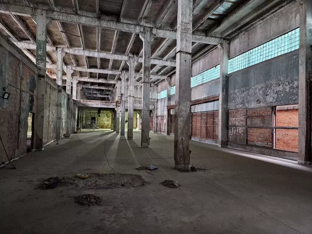 Помещение свободного назначения, 1000 м - Фото 0