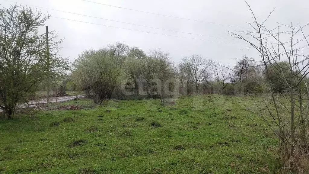 Участок 5 сот. (СНТ, ДНП) - Фото 1
