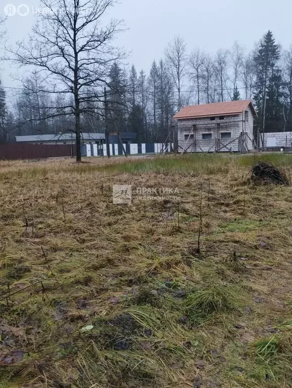 Участок в Наро-Фоминский городской округ, СНТ ДСК Русь-1 (10 м) - Фото 2