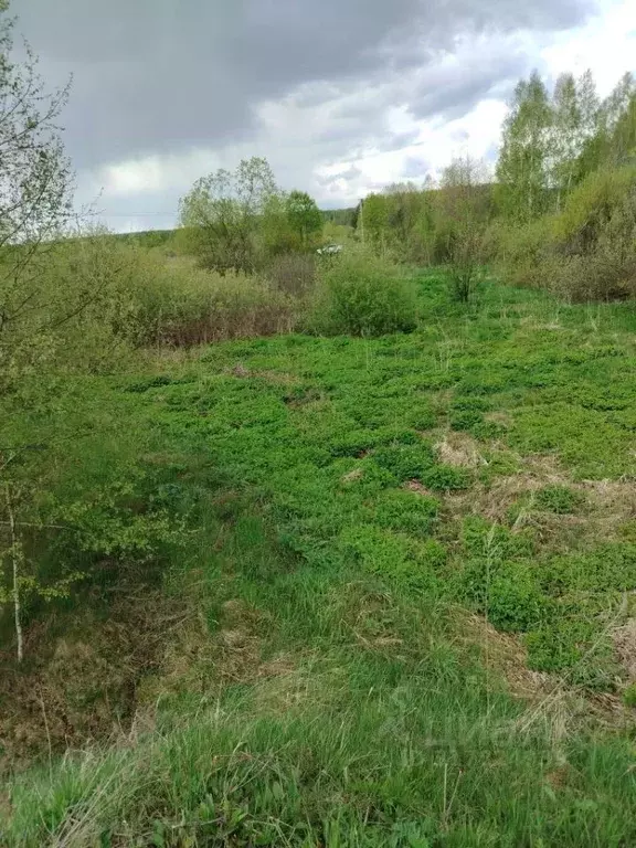 Участок в Нижегородская область, Богородский муниципальный округ, д. ... - Фото 1