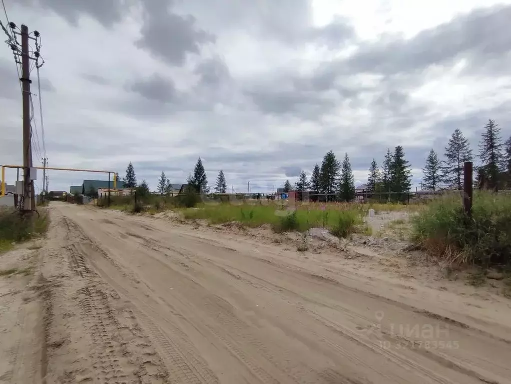 Участок в Ямало-Ненецкий АО, Новый Уренгой Северный Берег ДНТ, ул. 4-я ... - Фото 1