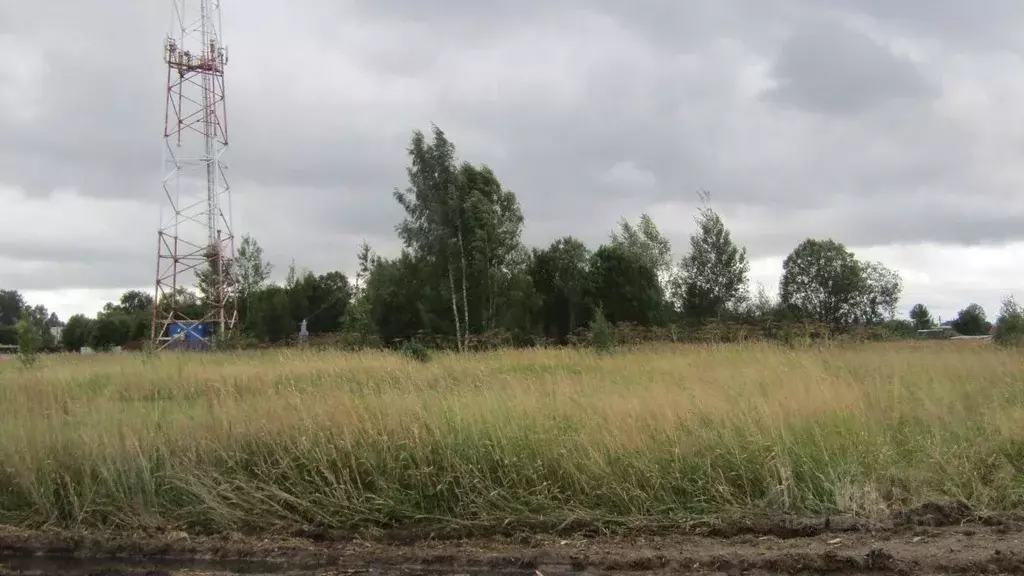 Участок в Московская область, Рузский муниципальный округ, д. Грибцово ... - Фото 1